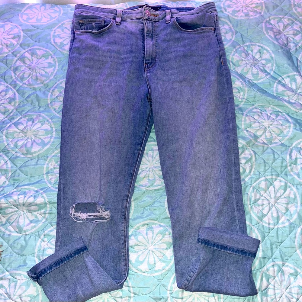 EUC Hudson Distressed Skinny Jeans